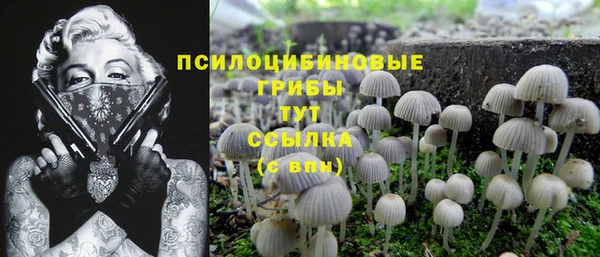 apvp Горнозаводск