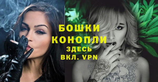 mdpv Горно-Алтайск