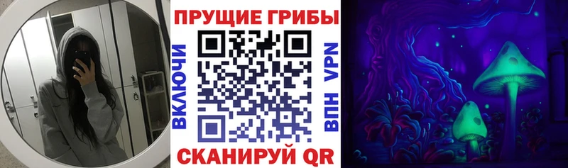 Псилоцибиновые грибы GOLDEN TEACHER  Западная Двина 